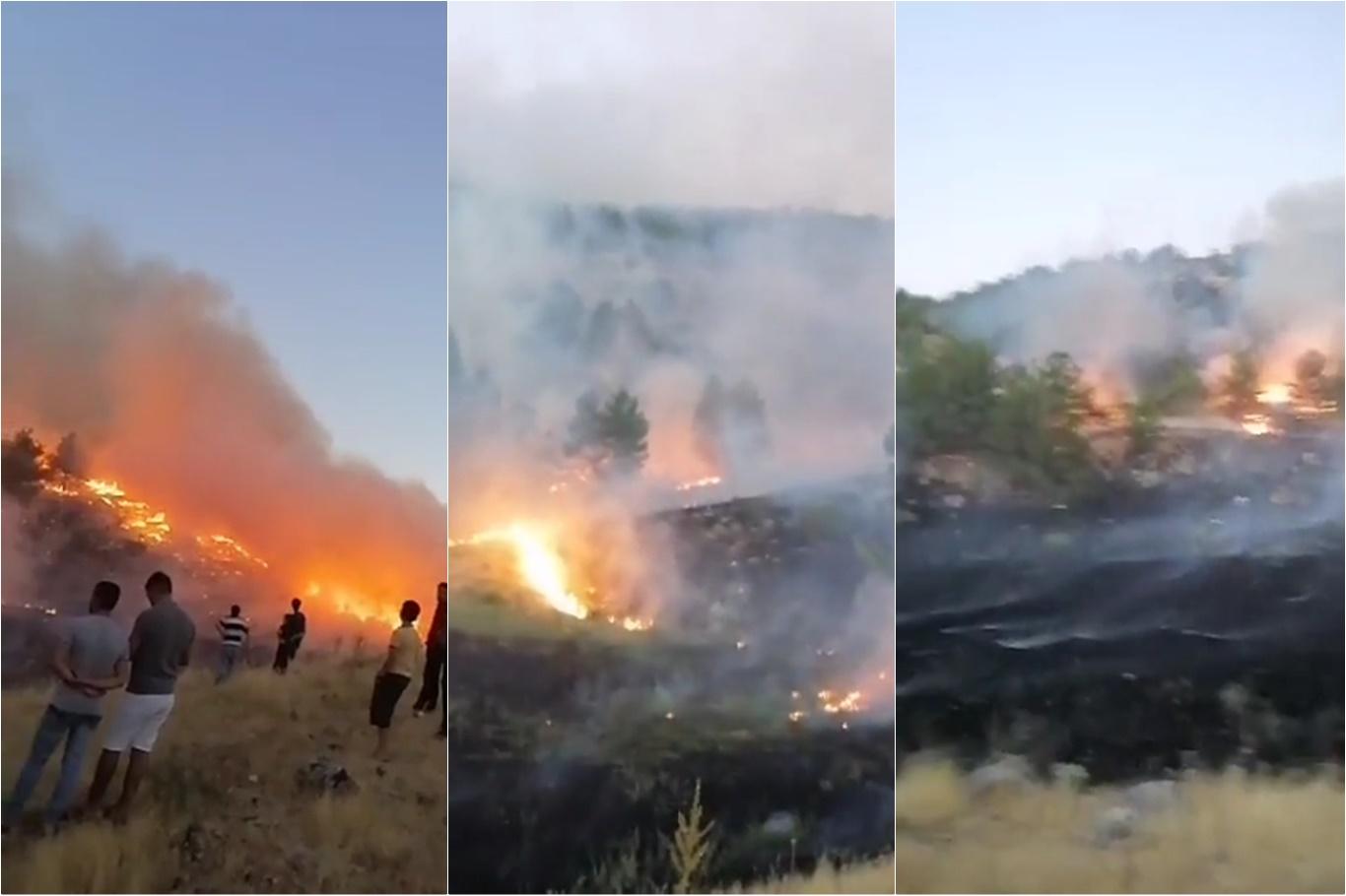  Adıyaman'da ormanlık alanda yangın